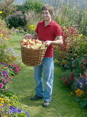 Young man with freshly harvested apples in a wicker basket
