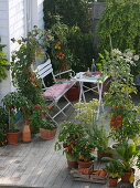 Skiving terrace with tomatoes and peppers