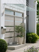 Modern house entrance with glass canopy, tub with Olea europaea