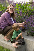 Frau mit Sohn schneidet Lavendel (Lavandula)