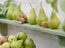 Pears 'Concord' lined up on a wooden shelf