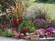 Autumn bed with red pot with Phormium