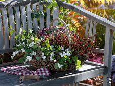 Wicker basket with autumnal fruit ornaments on bench