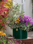 Green tin container with colourful plants