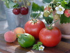 Rote Tomaten (Lycopersicon) und eine grüne Paprika (Capsicum)