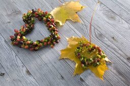 Small hearts of Hypericum (St. John's wort fruit), maple leaves (Acer)