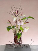 Moderner Strauß aus Anthurium (Flamingoblume) und Cornus (Hartriegel)