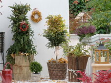 Winterise roses in tubs with brushwood, straw mats and leaves.