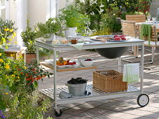 Outdoor kitchen: grilling on the terrace