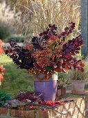 Herbststrauß mit dunkelrotem Cotinus (Perückenstrauch), Chrysanthemum