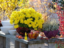 Herbstchrysantheme, Besenheide und Äpfel in mit Blättern beklebten Schalen