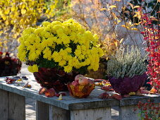 Herbstchrysantheme, Besenheide und Äpfel in mit Blättern beklebten Schalen