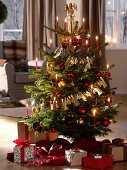 Nordmann fir red and golden decorated