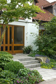 House entrance with stairs, Acer palmatum (Japanese fan maple)