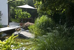 View from the swimming pond on wooden seating under the parasol