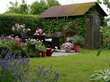 Kleine runde Terrasse mit Sitzgruppe und Kübelpflanzen