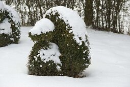 Shaped animal figures in a snow-covered garden