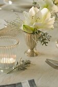 Festliche Amaryllis-Tischdeko in weiß und silber