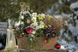 Terracotta - Kasten weihnachtlich bepflanzt