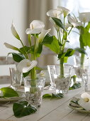 White table decoration of Zantedeschia (Calla)