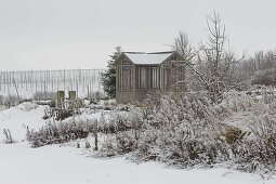 Tea house in the snowy garden, beds with perennials and apple tree (Malus)