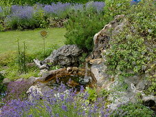 Small waterfall, mini pond, Lavandula, Pinus