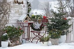 Winter balcony with conifers, bird feeder house, snow and garland