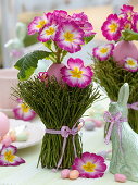 Easter table decoration with pink primroses and blueberry branches
