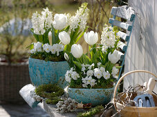 Tulipa 'Mondial' (Tulpen), Hyacinthus 'White Pearl' (Hyazinthen), Viola corn