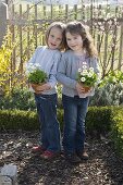 Girl with bellis (daisy) in pots in the cottage garden