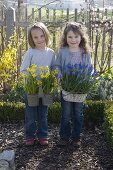 Mädchen im Bauerngarten mit Narcissus 'Tete a Tete' (Narzissen)