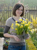 Woman holding metal double pot with Narcissus 'Tete a Tete'