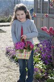 Girl with Primula acaulis (primroses) in braided bag