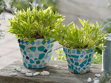 Glueing clay pots with turquoise mosaic (5/5)
