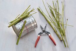 Blechdose mit Hartriegelzweigen verkleiden 2/3