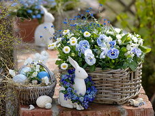 Blue and white Easter basket with Viola wittrockiana 'Marina'
