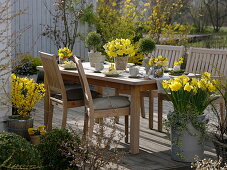 Daffodils - Easter table decoration on the terrace