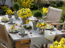 Daffodils, Easter table decoration on the terrace