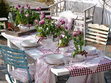 View of the spring terrace with a laid table