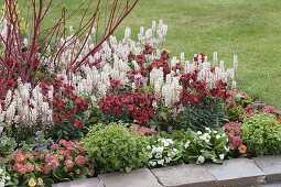 Red and white spring border