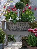 Spring flowering plants and herbs in basket box