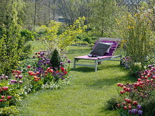 Lawn path between spring beds with tulips