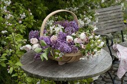 Syringa (Flieder), Tulipa (Tulpen), Malus (Apfelblüten) frisch geschnitten