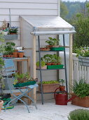 Self made small greenhouse foil for cultivation on the balcony