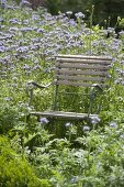 Chair in flower meadow made of bee willow