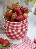 Frisch geerntete Erdbeeren und Erdbeerpflanzen im Topf