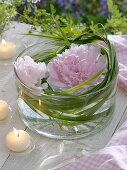 Glasschale mit Paeonia (Pfingstrosen-Blüten) in Spartina (Goldleistengras)