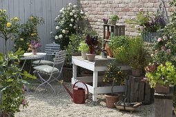 Snack terrace with herbs and vegetables in pots (2/2)