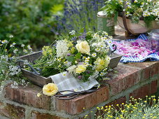 Pink (roses), Valerian (Valeriana), Coriander (Coriandrum), Camomile