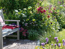 Summer bed with dahlias, perennials and rose balls